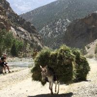 le long de la rivière Penj